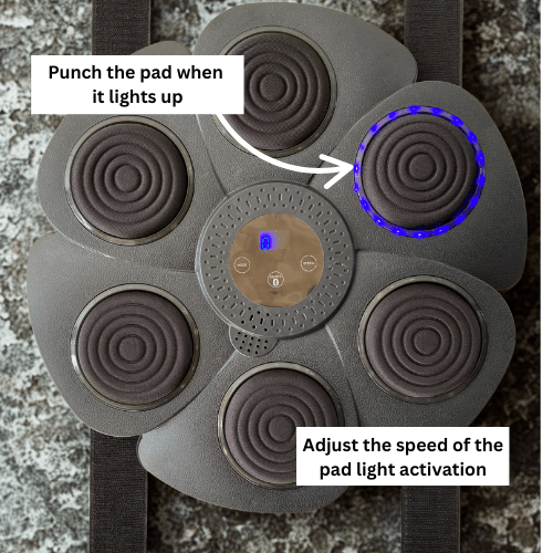GenWell™ Power Punch